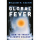 Global Fever: How to Treat Climate Change