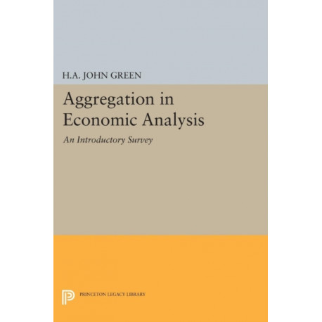 Aggregation in Economic Analysis