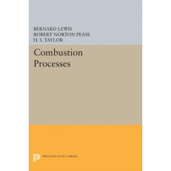 Combustion Processes