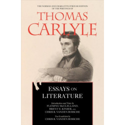 Essays on Literature