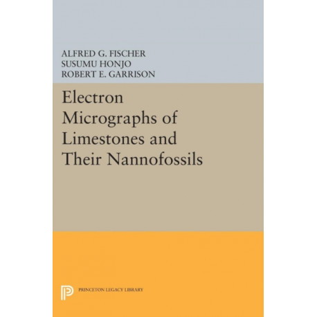 Electron Micrographs of Limestones and Their Nannofossils