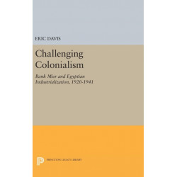 Challenging Colonialism: Bank Misr and Egyptian Industrialization, 1920-1941