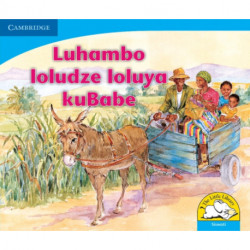Luhambo loludze loluya kuBabe (Siswati)