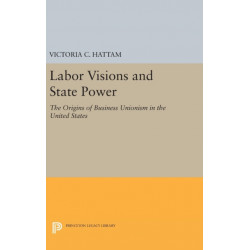 Labor Visions and State Power: The Origins of Business Unionism in the United States