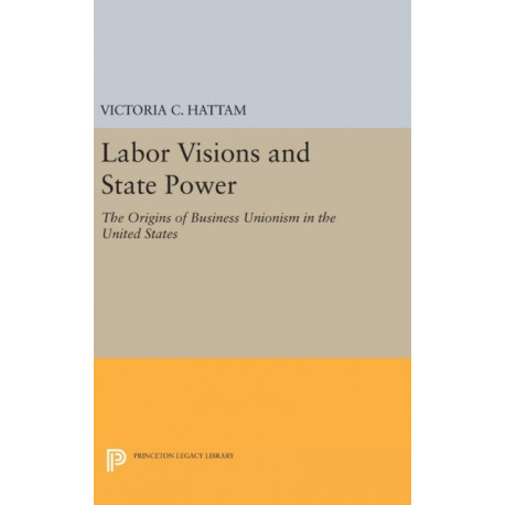 Labor Visions and State Power: The Origins of Business Unionism in the United States