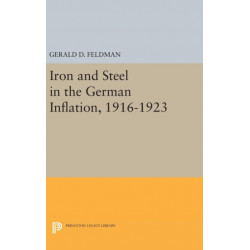 Iron and Steel in the German Inflation, 1916-1923