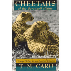 Cheetahs of the Serengeti Plains: Group Living in an Asocial Species