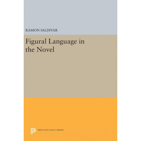 Figural Language in the Novel