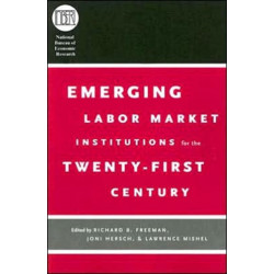 Emerging Labor Market Institutions for the Twenty-First Century