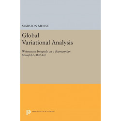 Global Variational Analysis: Weierstrass Integrals on a Riemannian Manifold
