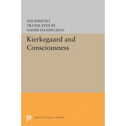 Kierkegaard and Consciousness