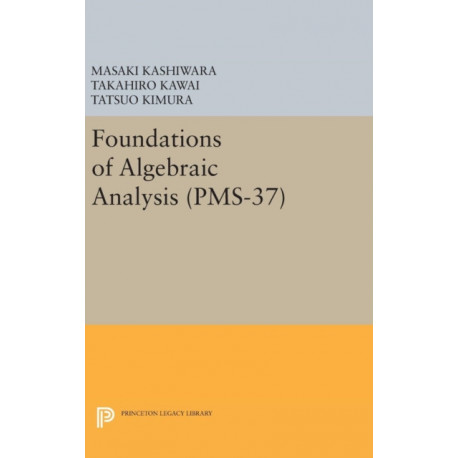 Foundations of Algebraic Analysis