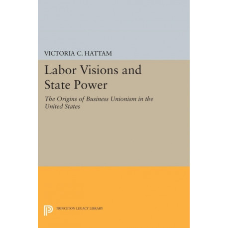 Labor Visions and State Power: The Origins of Business Unionism in the United States