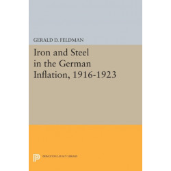 Iron and Steel in the German Inflation, 1916-1923