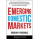 Emerging Domestic Markets: How Financial Entrepreneurs Reach Underserved Communities in the United States