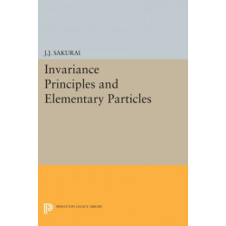 Invariance Principles and Elementary Particles