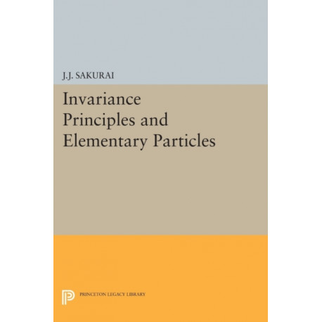 Invariance Principles and Elementary Particles