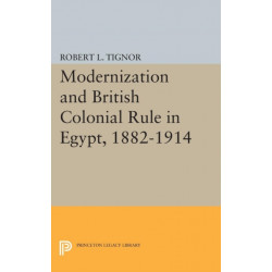 Modernization and British Colonial Rule in Egypt, 1882-1914