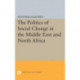 Politics of Social Change: In the Middle East and North Africa