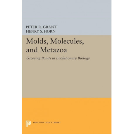 Molds, Molecules, and Metazoa: Growing Points in Evolutionary Biology