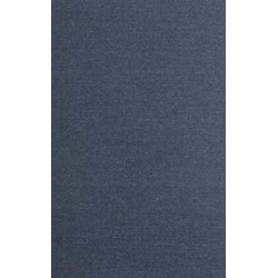 Evolving Hierarchical Systems: Their Structure and Representation