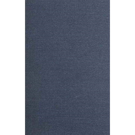 Evolving Hierarchical Systems: Their Structure and Representation