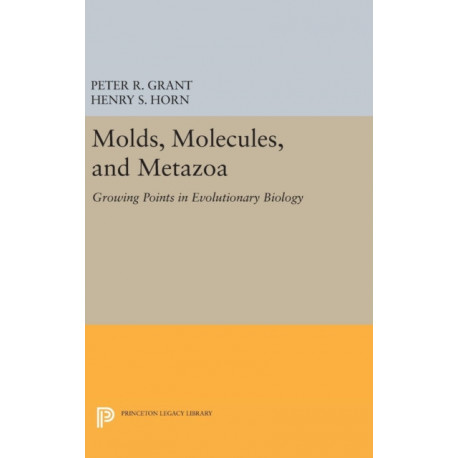 Molds, Molecules, and Metazoa: Growing Points in Evolutionary Biology