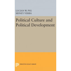 Political Culture and Political Development