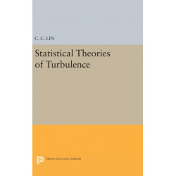 Statistical Theories of Turbulence
