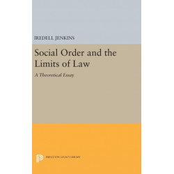Social Order and the Limits of Law: A Theoretical Essay
