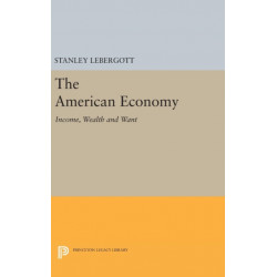 The American Economy: Income, Wealth and Want