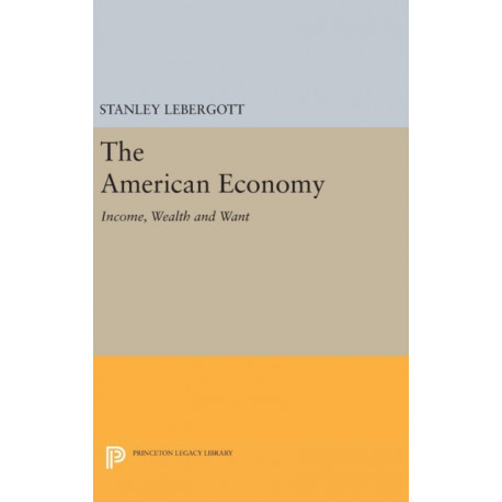 The American Economy: Income, Wealth and Want