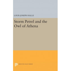 Storm Petrel and the Owl of Athena