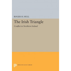The Irish Triangle: Conflict in Northern Ireland