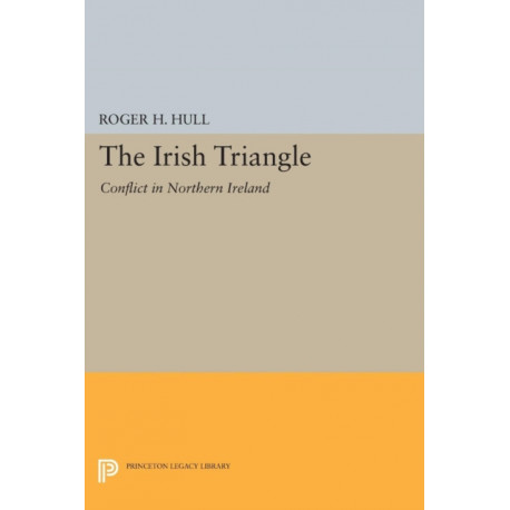 The Irish Triangle: Conflict in Northern Ireland