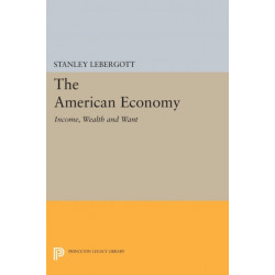 The American Economy: Income, Wealth and Want