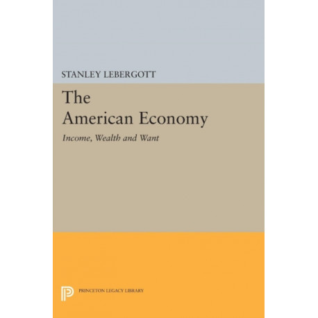 The American Economy: Income, Wealth and Want