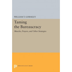 Taming the Bureaucracy: Muscles, Prayers, and Other Strategies