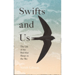 Swifts and Us: The Life of the Bird That Sleeps in the Sky