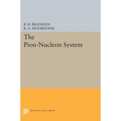 The Pion-Nucleon System