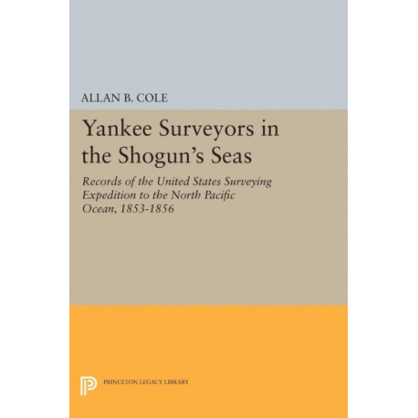 Yankee Surveyors in the Shogun's Seas