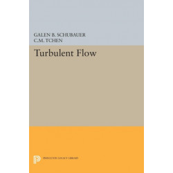 Turbulent Flow