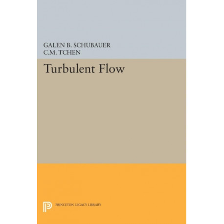 Turbulent Flow