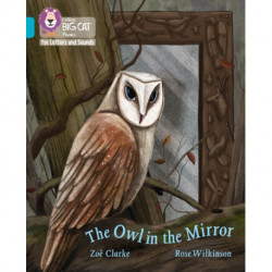 The Owl in the Mirror: Band 07/Turquoise