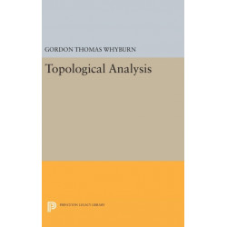 Topological Analysis