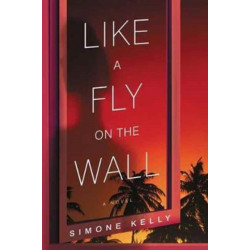 Like A Fly On The Wall