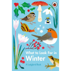 What to Look For in Winter