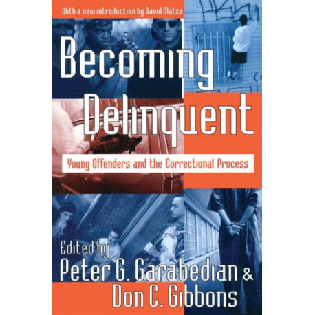 Becoming Delinquent: Young Offenders and the Correctional Process