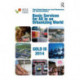 Basic Services for All in an Urbanizing World