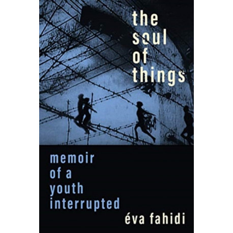 The Soul of Things: Memoir of a Youth Interrupted